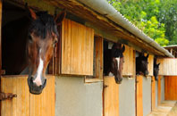 free Nether Haugh stable construction quotes